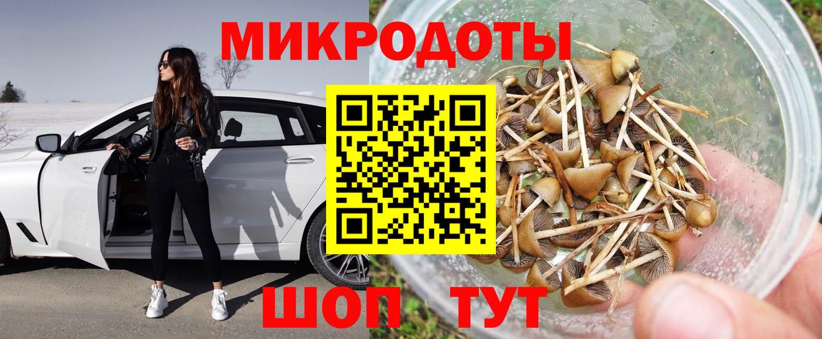 Галлюциногенные грибы Psilocybine cubensis Наро-Фоминск