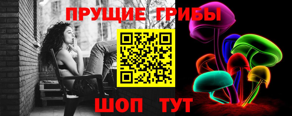 Наро-Фоминск  Псилоцибиновые грибы Cubensis  Вход с VPN 