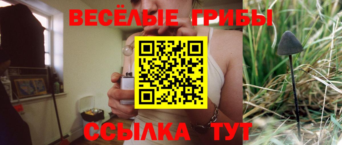 Наро-Фоминск  Канабис  Меф кристаллы  Вход с VPN  Лсд 25  ГАШ  Метамфетамин 